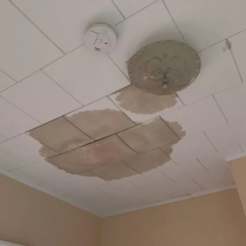 Ceiling Water Damage Repair in City of Hampton, VA