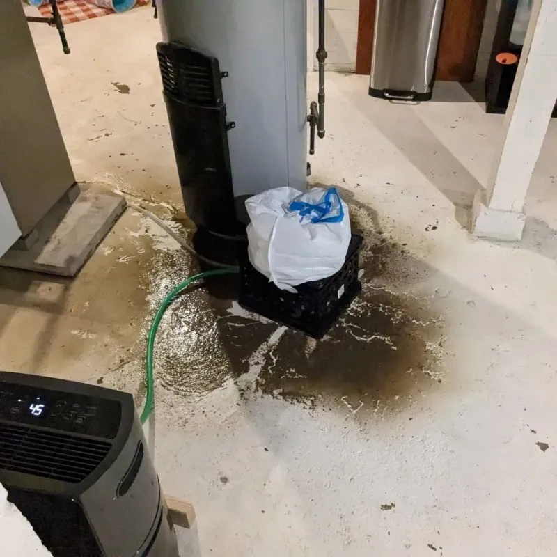 Sewage Backup Cleanup Service in City of Hampton, VA